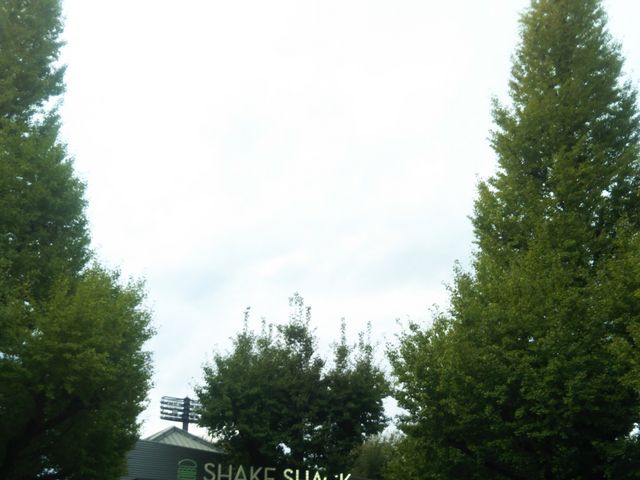 シェイク シャック 外苑いちょう並木店(SHAKE SHACK)_シェイク シャック 外苑いちょう並木店(SHAKE SHACK)