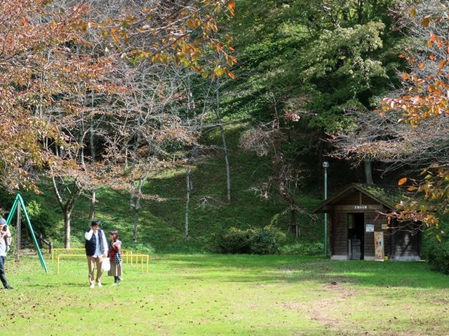 しちのすけさんの王地山公園の紅葉の投稿写真1