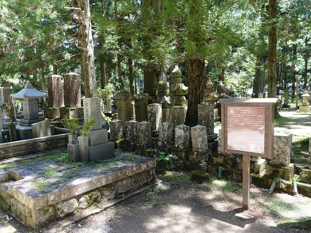 案内板が設置されています_高野参詣道町石道(和歌山県九度山町)