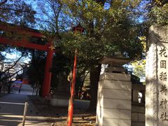 花園神社の写真1