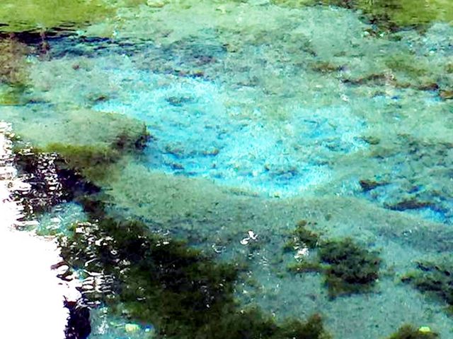 霧島山麓丸池湧水 湧水がコンコンと地中より湧き出しています_霧島山麓丸池湧水