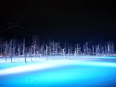 青い池の写真1