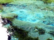 世界の郷さんの霧島山麓丸池湧水の投稿写真1