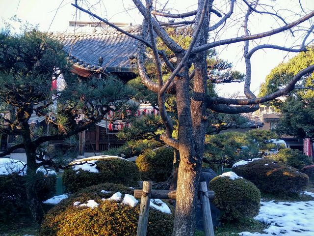 常葉神社_常葉神社