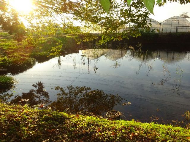 ponちゃんさんの矢太神水源の投稿写真2