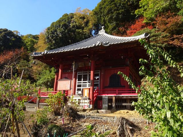 ponちゃんさんの清水寺の森の投稿写真2