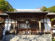 ponちゃんさんの清水寺の森の投稿写真1