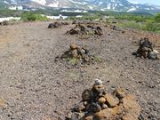 たかちゃんさんの望岳台探勝路の投稿写真1