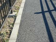 瑠璃蝶さんのよみうりV通りの投稿写真1