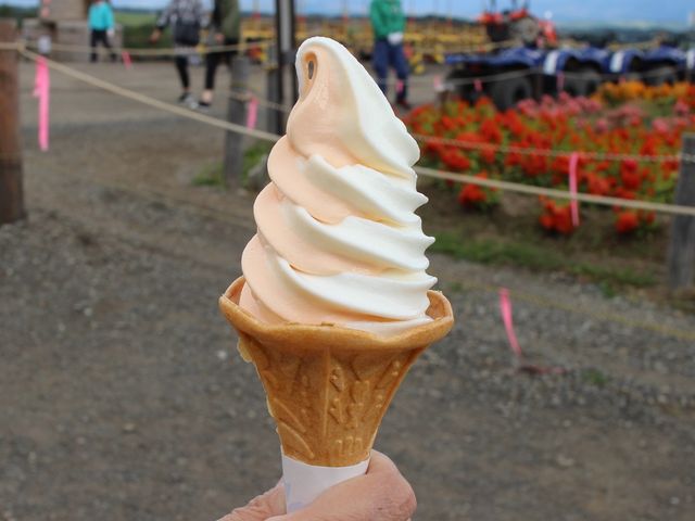 ミックスソフトクリーム_四季彩の丘 売店
