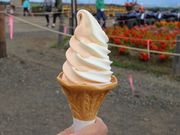 たかちゃんさんの四季彩の丘 売店の投稿写真2