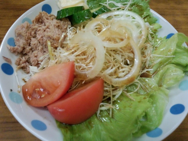 サラダです_びっくりドンキー穂積店