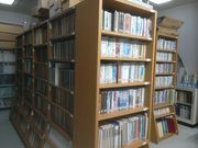 サビ猫さんの木曽川文庫の投稿写真2