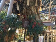 mktyさんの葛城一言主神社(一言さん)の投稿写真1