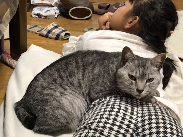にゃーこめ_かみね動物園