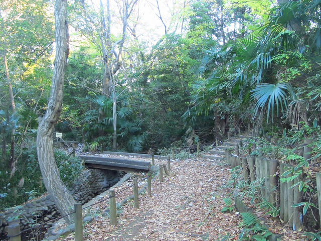 樹木が豊富です_占春園