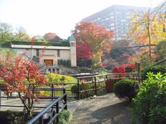 ゼバスティアン04さんの椿山荘 庭園への投稿写真1