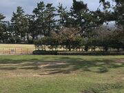 ゆりこさんの二色の浜公園の投稿写真1