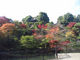 ゼバスティアン04さんの椿山荘 庭園への投稿写真2