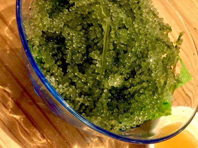 名護市・美ら花の海ぶどう!!_美ら花 名護店