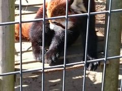 市川市動植物園の写真1