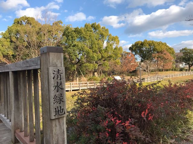 清水緑地_清水緑地