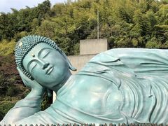 南蔵院の写真1