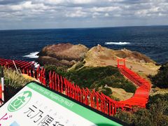 龍宮の潮吹の写真1