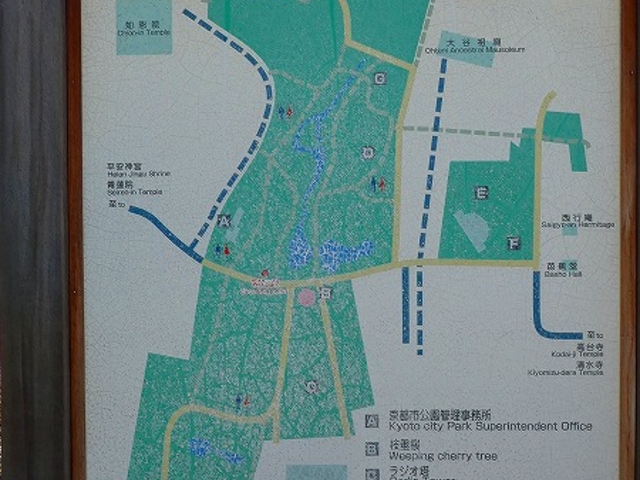 京都府京都市東山区・円山公園_円山公園