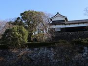 Yanwenliさんの福岡城南丸多聞櫓の投稿写真5