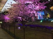 マロンさんの伊豆高原駅やまもプラザの投稿写真1