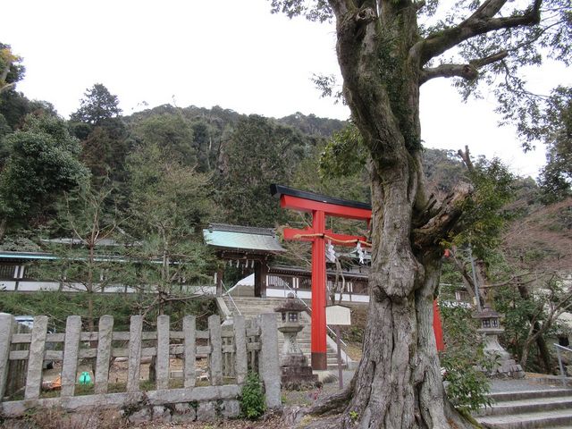 安産祈願の神社_月読神社 (京都市)
