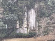 えべっさんさんの大野寺弥勒磨崖仏の投稿写真1