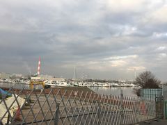 ヒロシさんの夢の島公園への投稿写真1