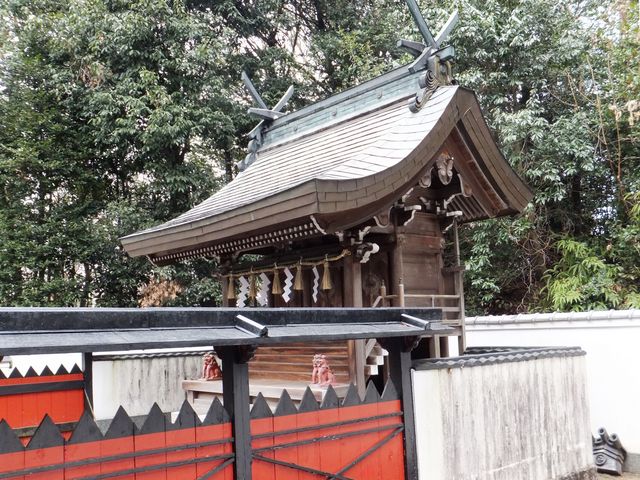 こぼらさんの伊邪那岐神社の投稿写真4