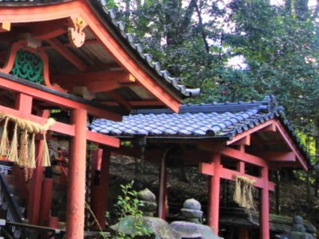 松尾神社と摂社御霊神社の本殿_松尾神社