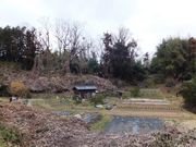 こぼらさんの片岡城跡の投稿写真2