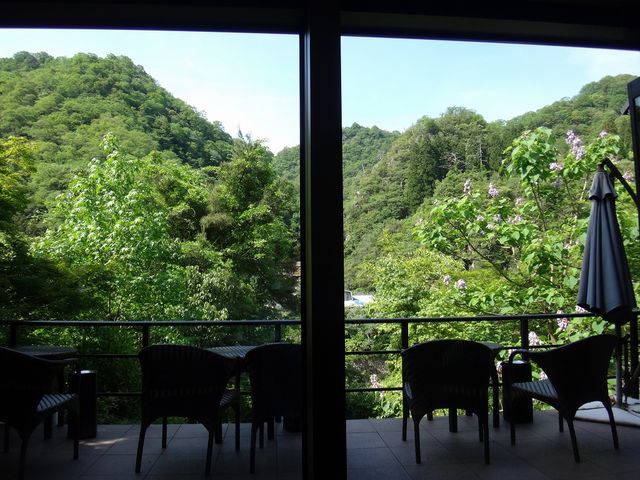 窓の外には桐の花が咲いていました。新緑の季節もいいです。_武田尾温泉