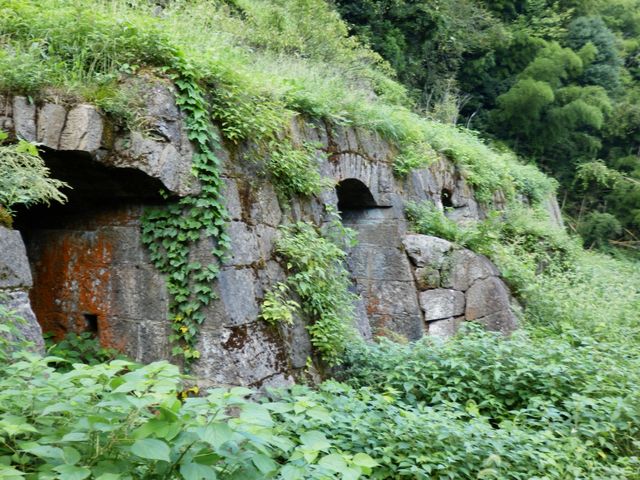 夏場は虫にも注意が必要です_清水谷製錬所跡