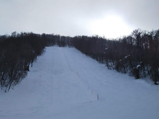 風景_さっぽろばんけいスキー場