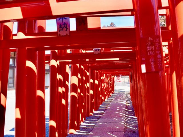 鳥居100m_小泉稲荷神社