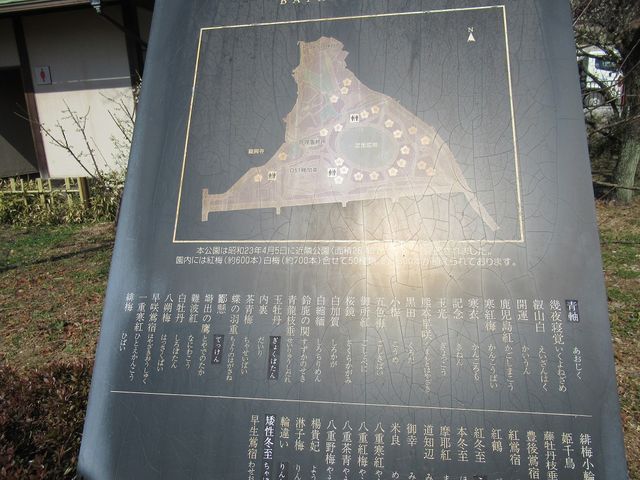 公園敷地内の案内図_梅林公園の梅