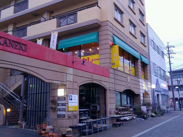 インドカレー専門店_インド・ネパールカレー ミテリ