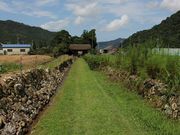 Yanwenliさんの神宮寺の投稿写真4