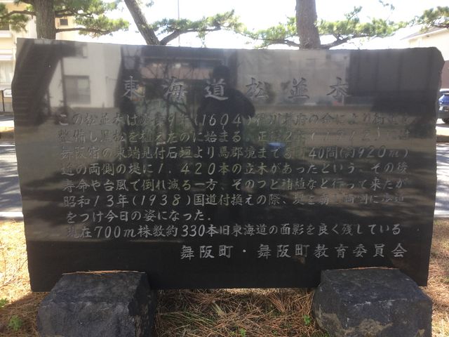 舞阪松並木2_旧東海道松並木(静岡県浜松市)