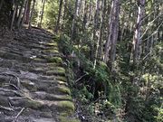 ゆうさんの熊野古道 松本峠?花の窟の投稿写真1