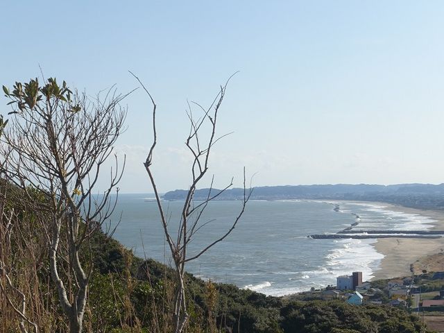自然の豊かなところです_太東埼