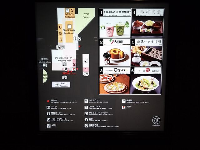 赤城高原サービスエリア13_赤城高原サービスエリア上り線並木