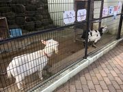 poporonさんの長崎公園(諏訪の杜)の投稿写真3