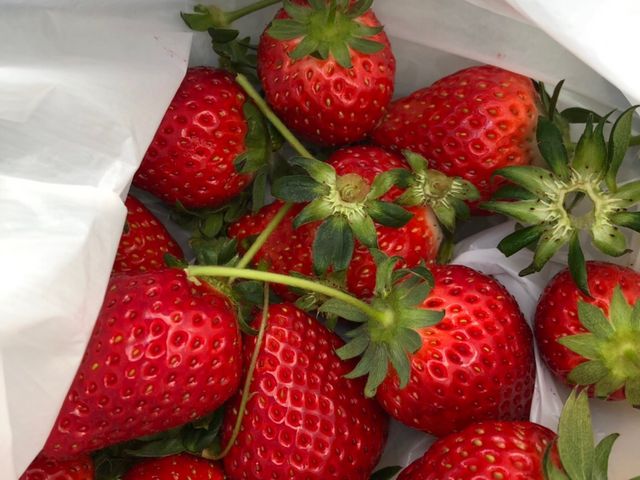 持ち帰りはできませんが、積んで来て椅子とテーブルで食べる事も出来るみたいです。_やいた里山いちご園